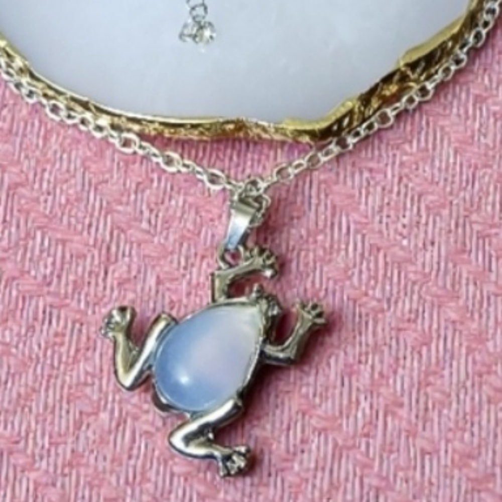 Silver Enchanted Choker Frog Charm Magical New Age Grunge 1990s 1960s Mystical